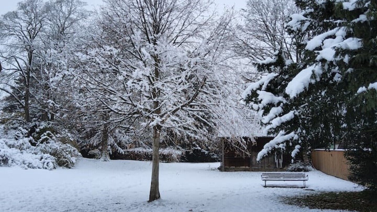 Photo of Outdoor in Horgen District