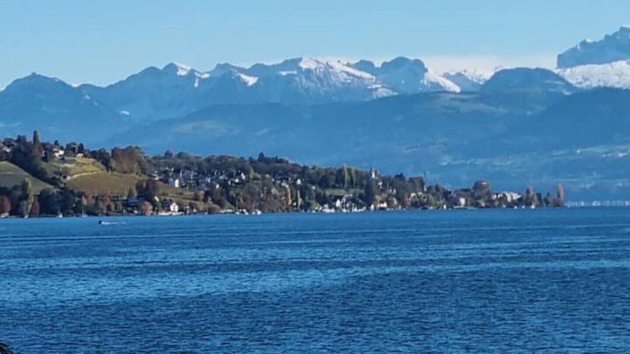 Photo of Others in Horgen District