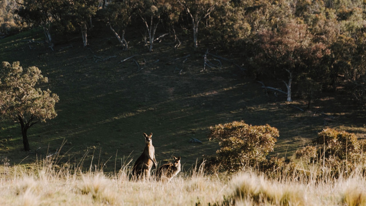 Photo of Others in Turondale