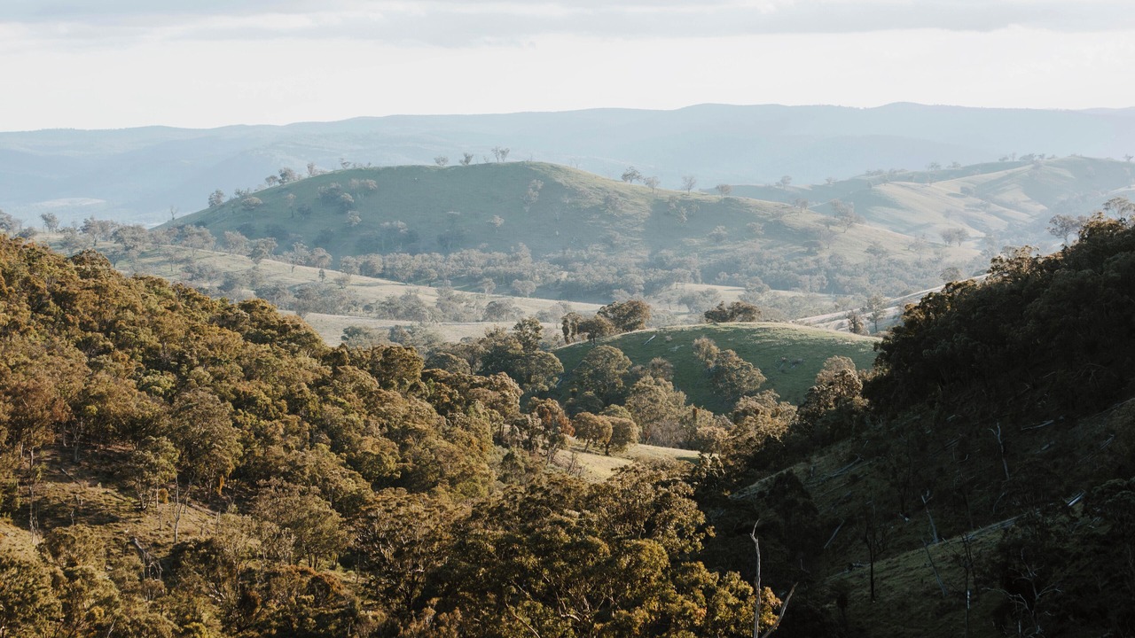 Photo of Others in Turondale
