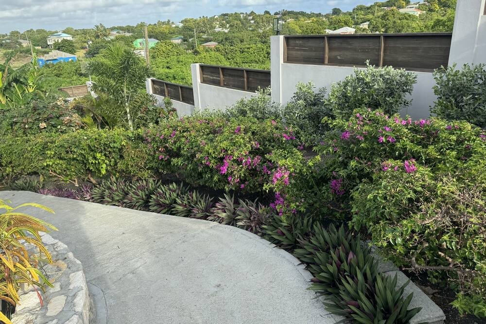 Photo of Outdoor in Willikies