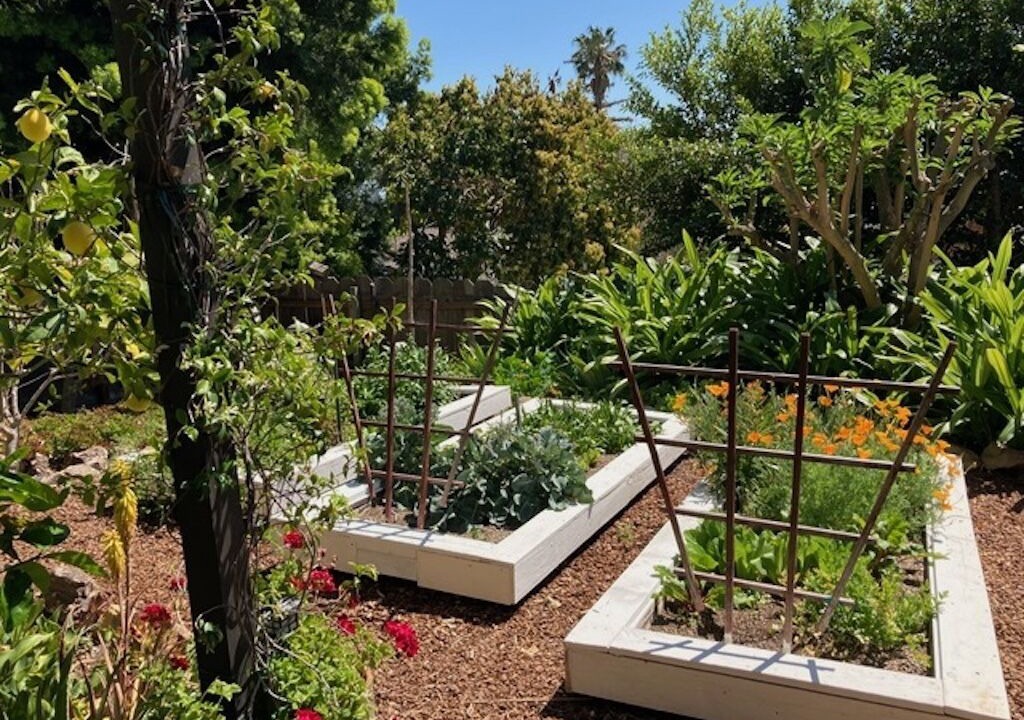Photo of Outdoor in Mission Canyon