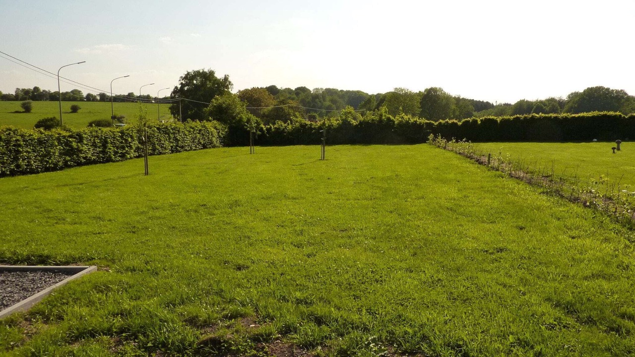 Photo of Outdoor in Louveigne