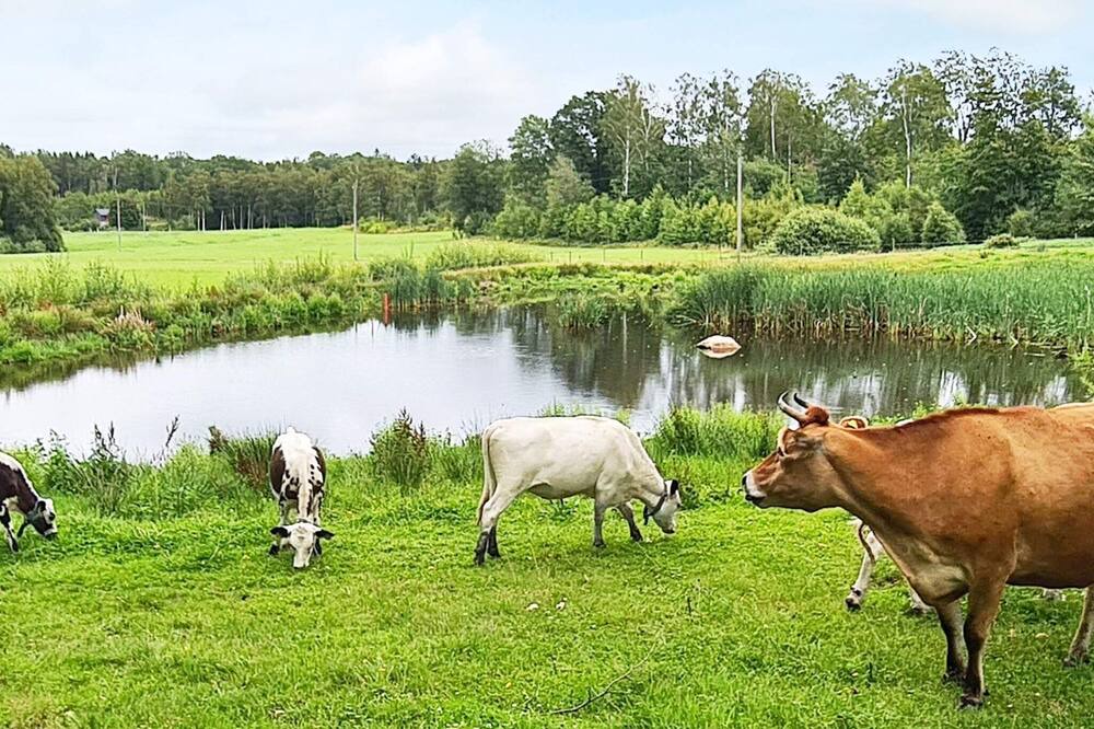 Photo of Others in Halmstad