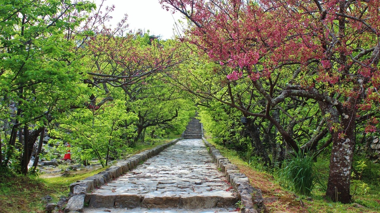 Photo of Outdoor in Nakijin