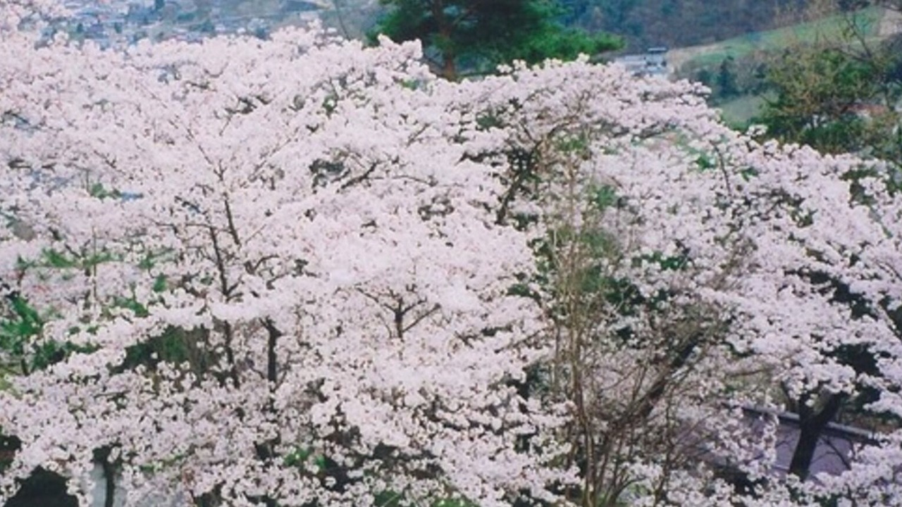 Photo of Others in Togura Kamiyamada Onsen
