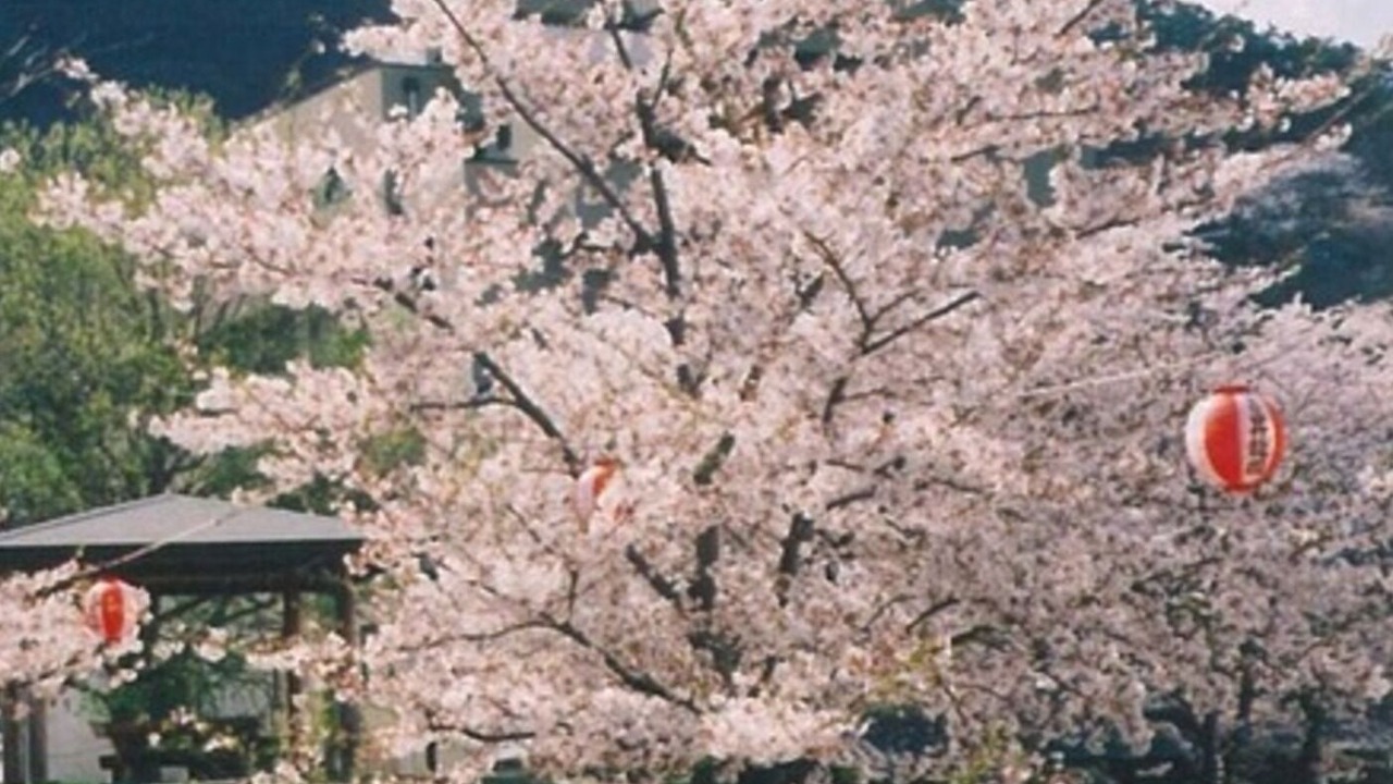 Photo of Outdoor in Togura Kamiyamada Onsen