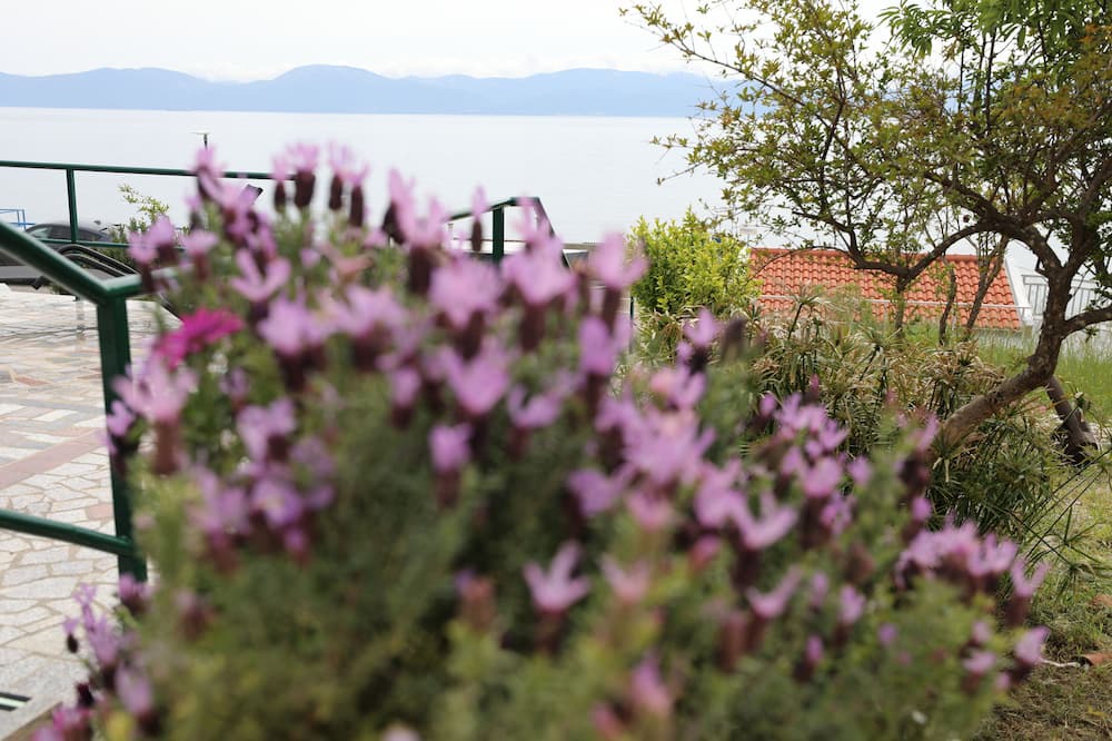 Photo of Outdoor in Podaca