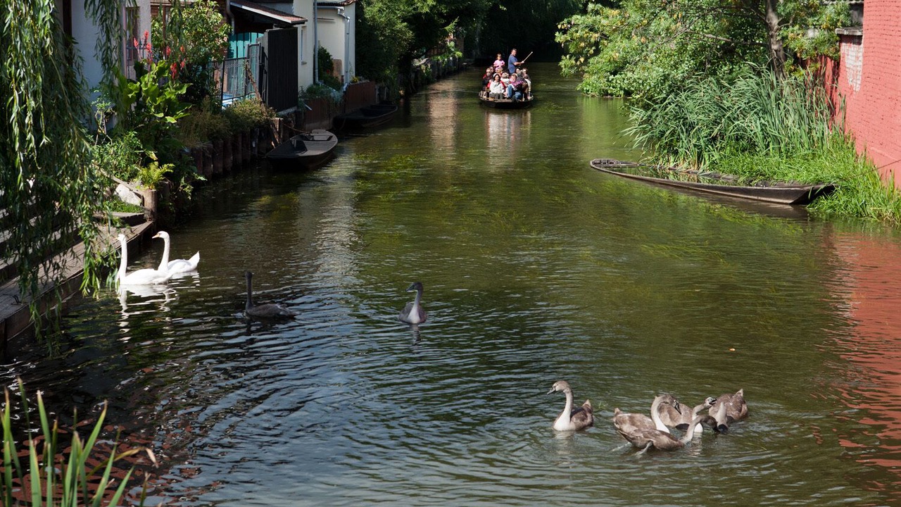 Photo of Others in Lubbenau/Spreewald