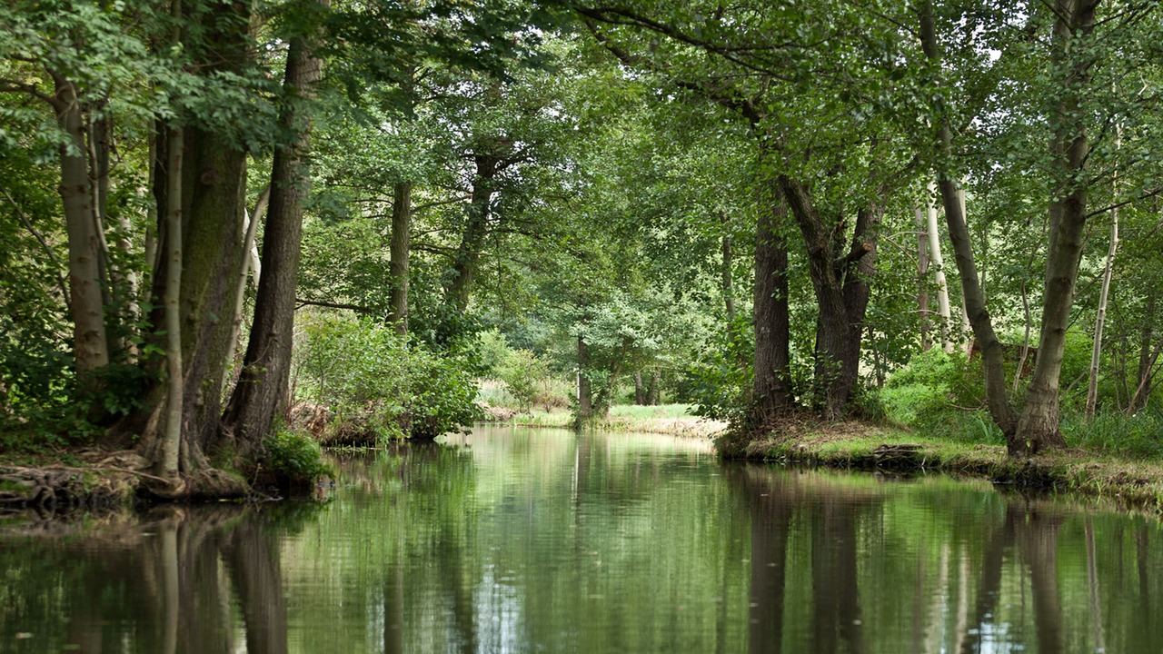 Photo of Outdoor in Lubbenau/Spreewald
