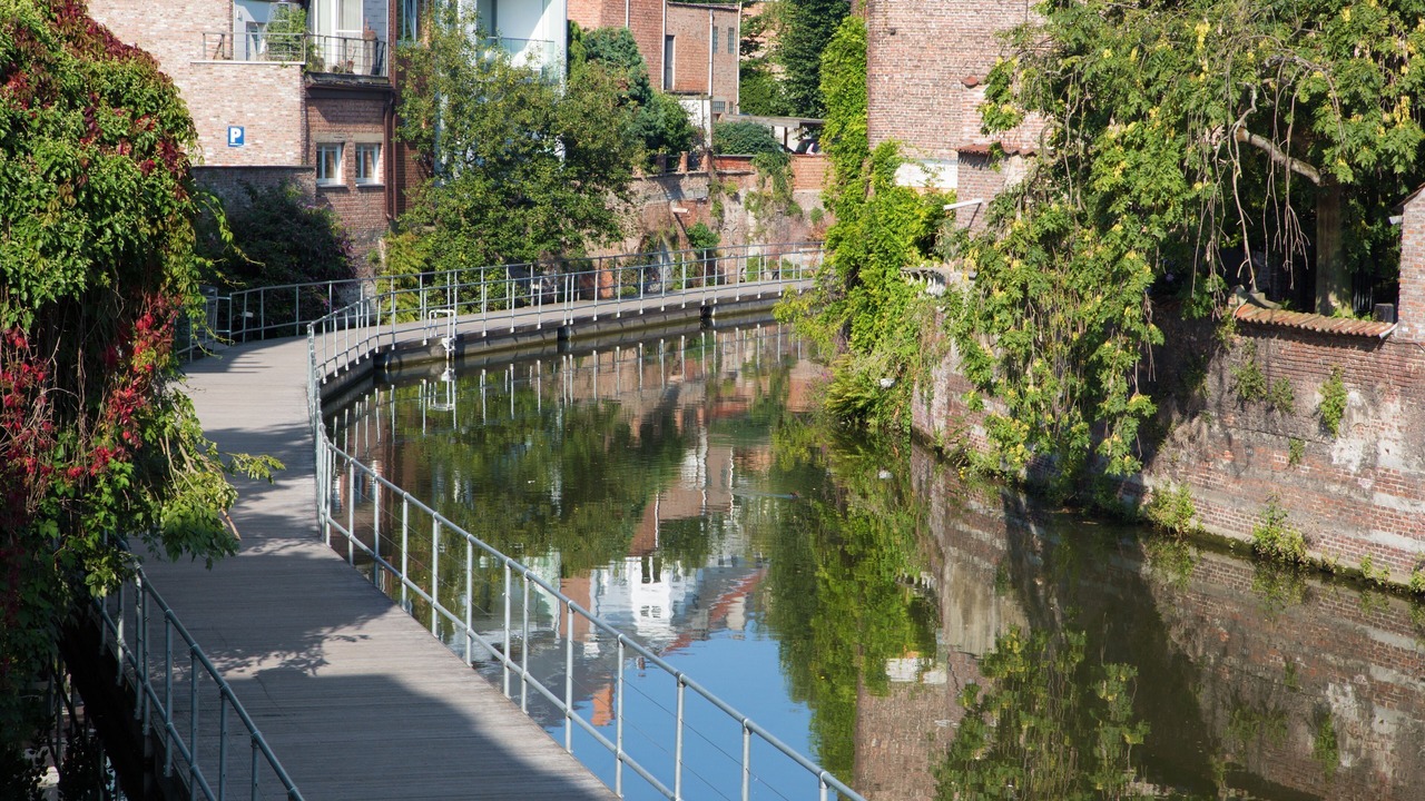 Photo of Others in Mechelen