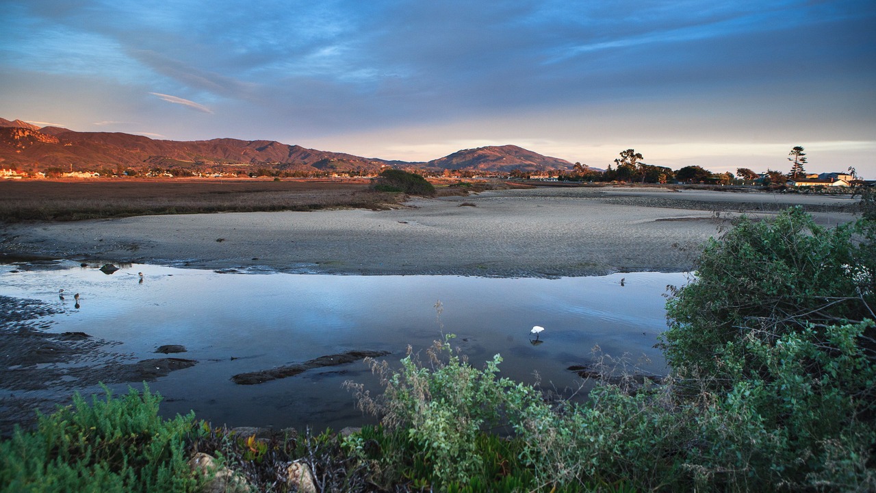 Photo of Others in Carpinteria