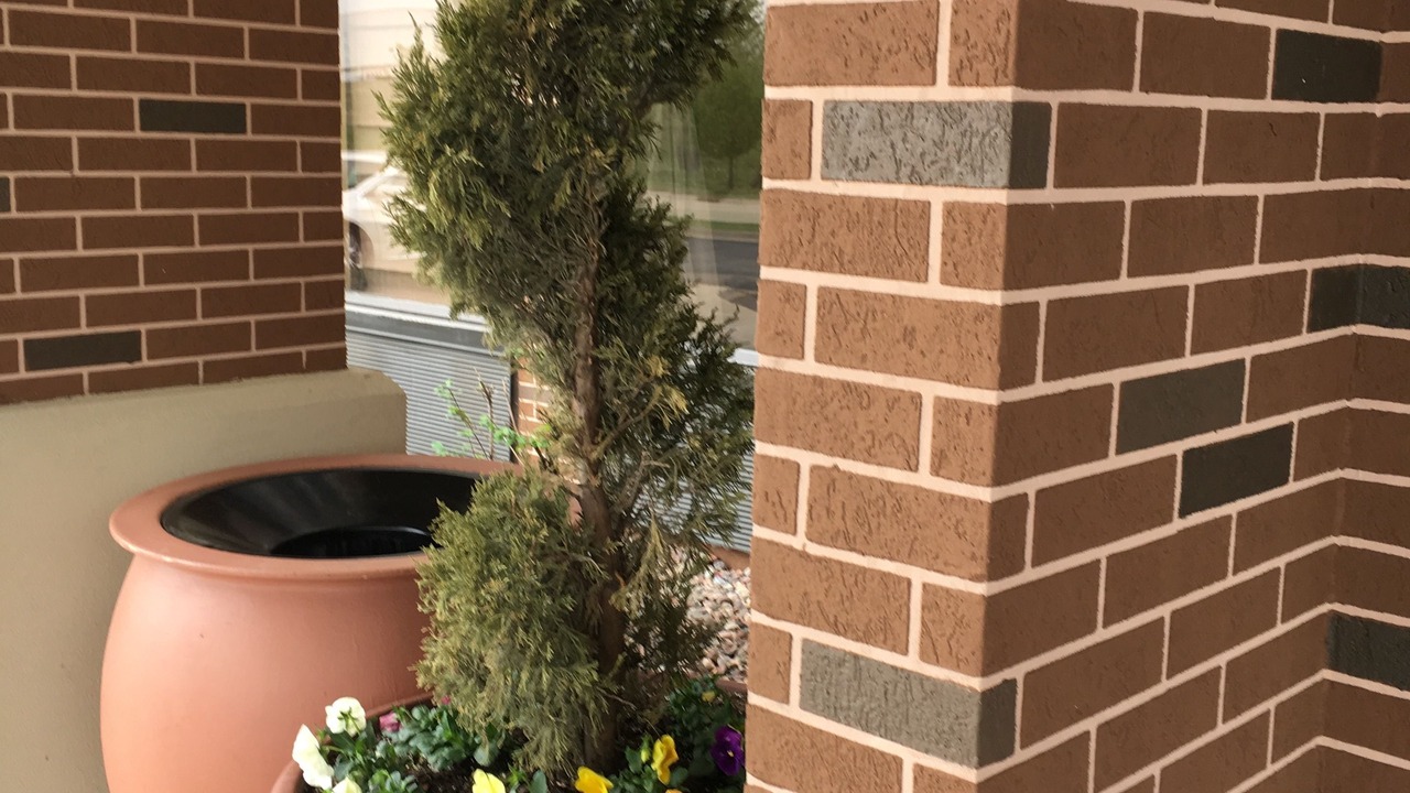 Photo of Outdoor in Joliet