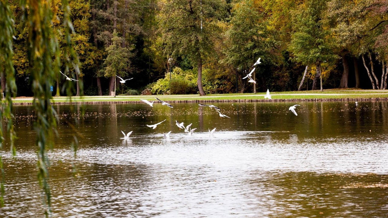 Photo of Outdoor in Genk