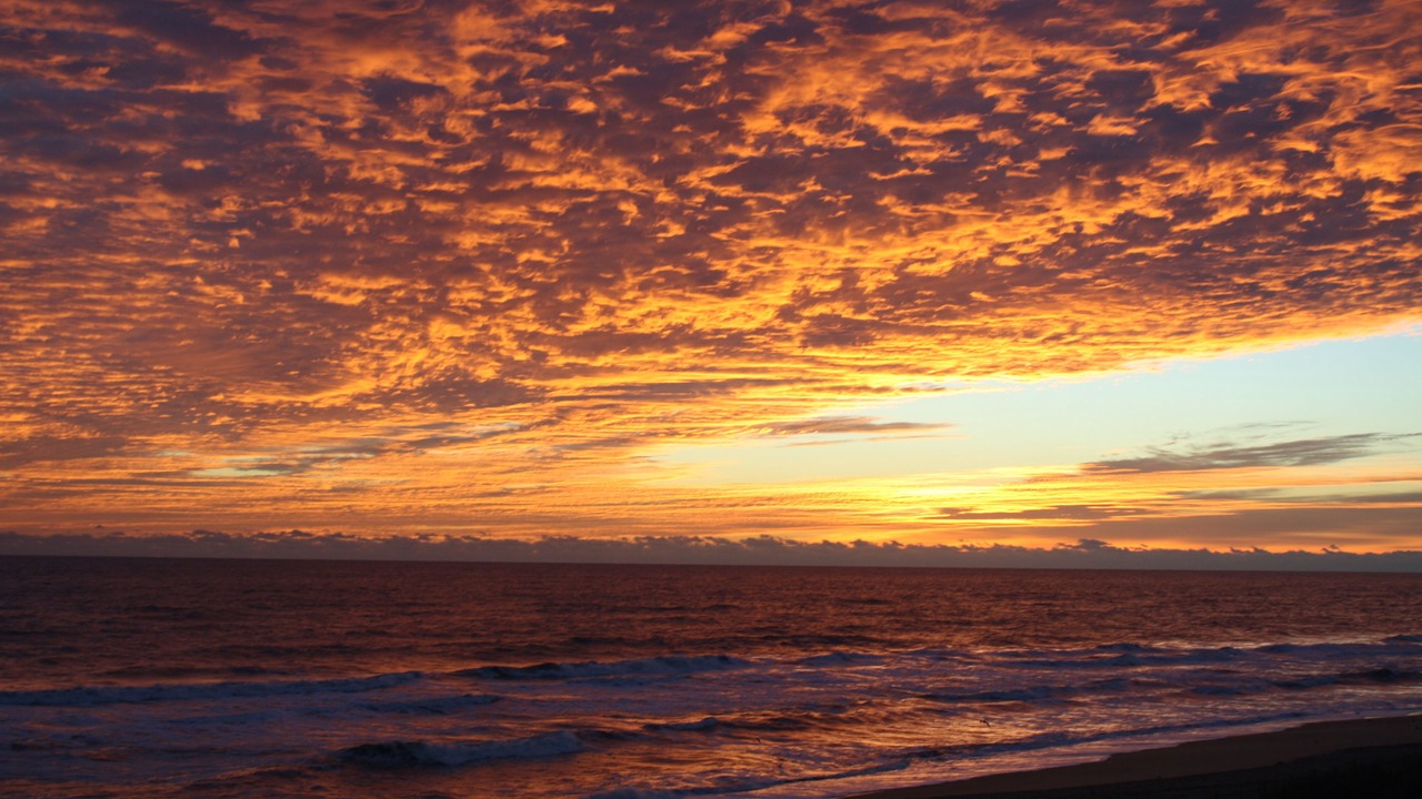 Photo of Others in South Nags Head