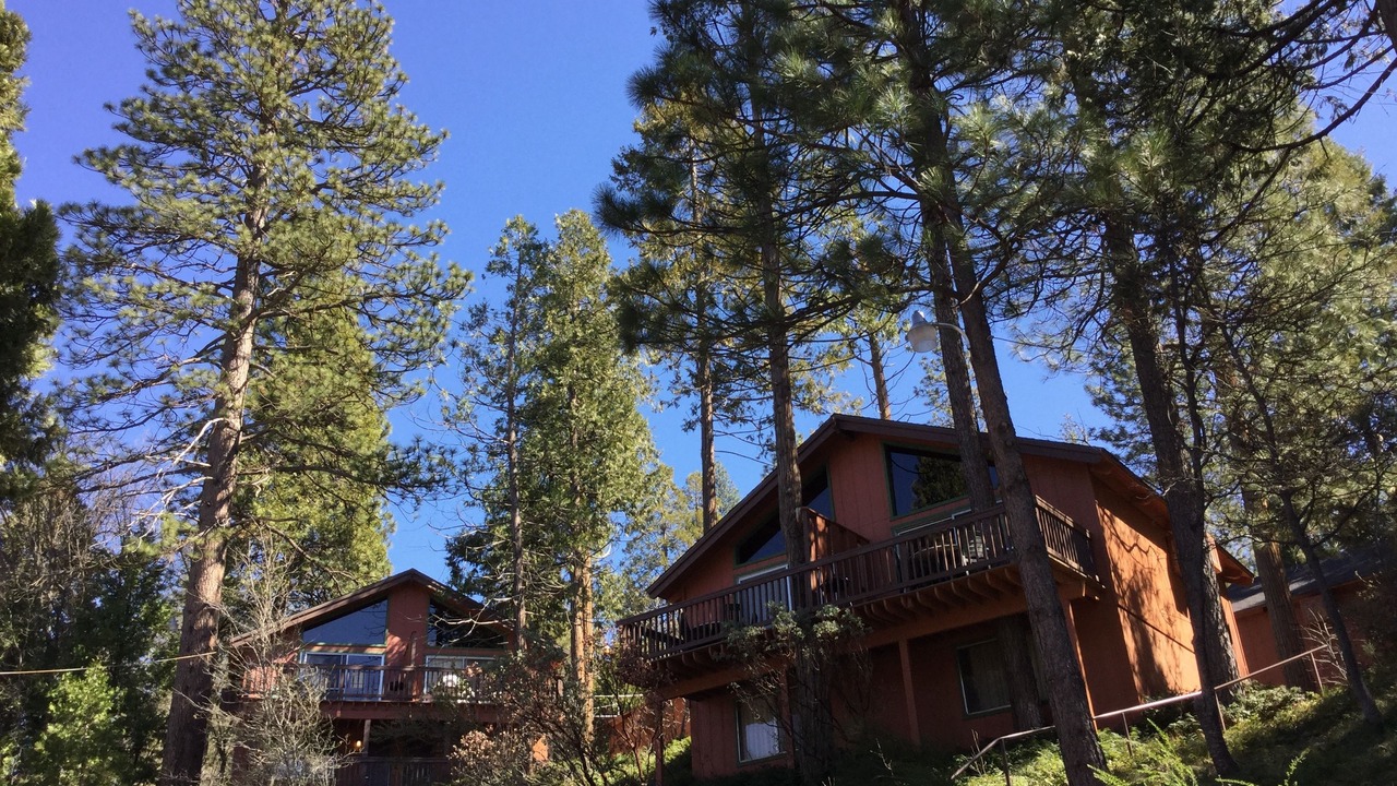Photo of Outdoor in Bass Lake