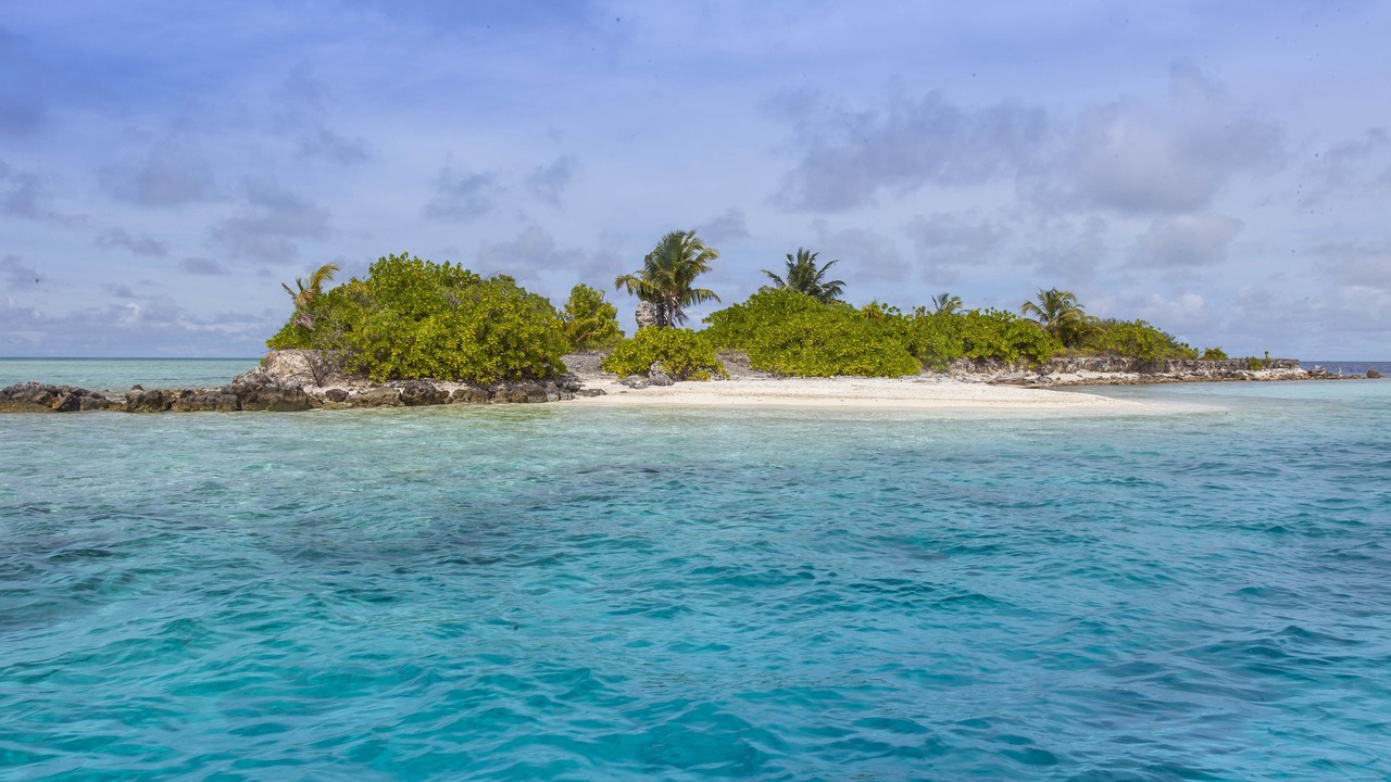 Photo of Others in Felidhoo