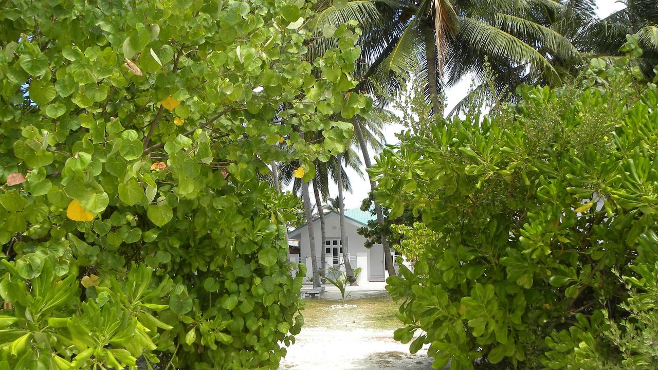 Photo of Others in Felidhoo