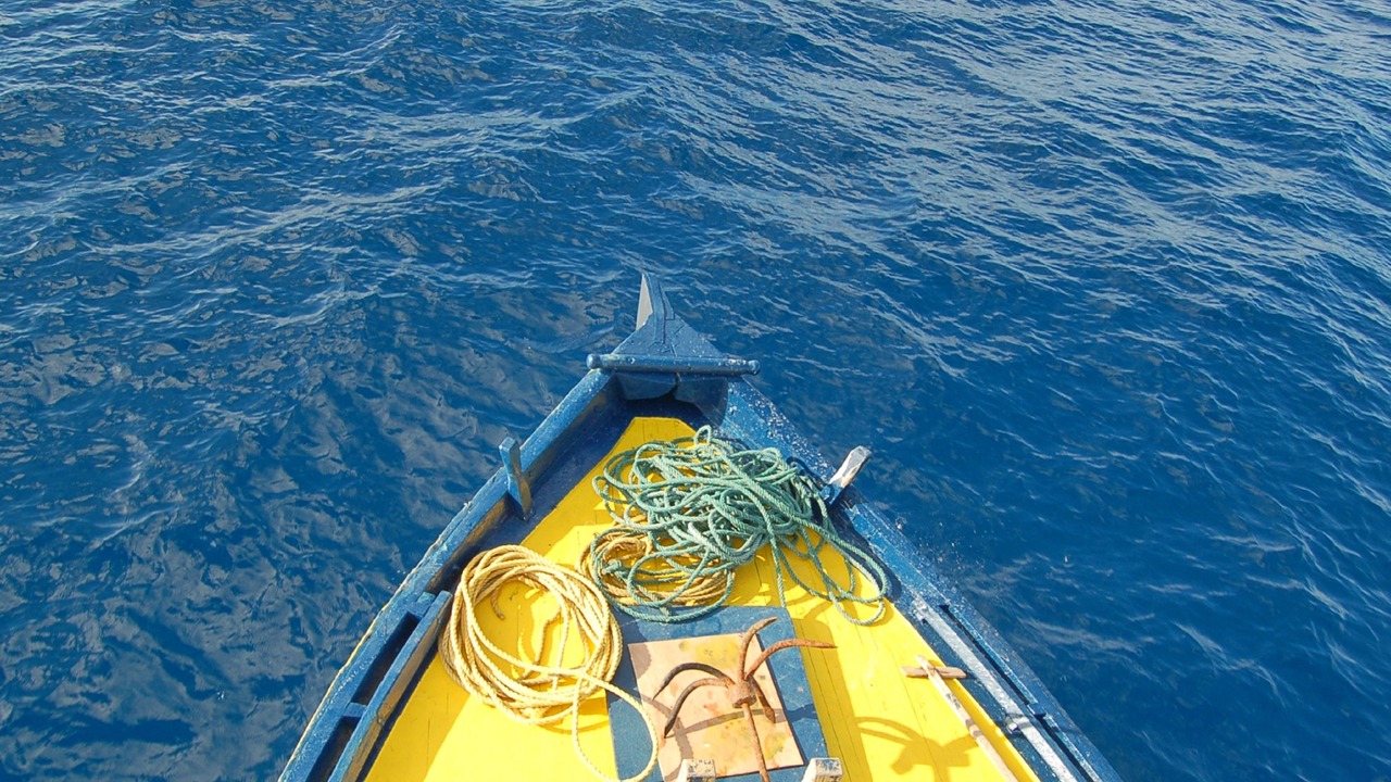 Photo of Others in Felidhoo
