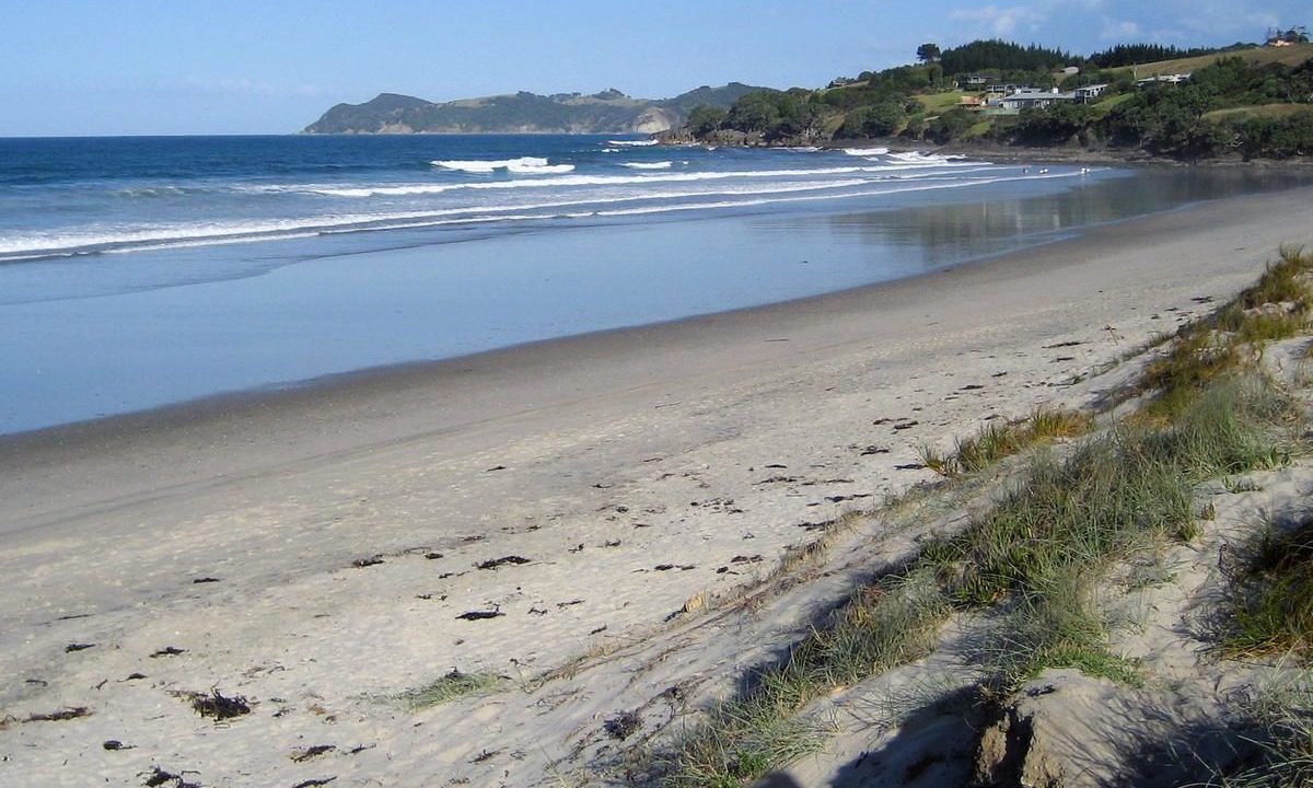 Photo of Others in Waipu Cove