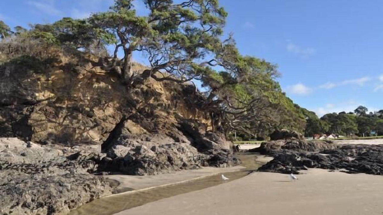 Photo of Outdoor in Waipu Cove