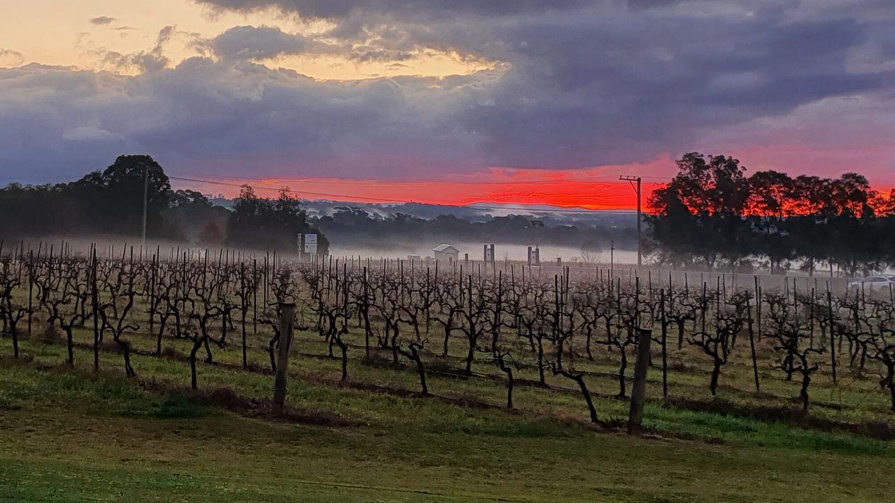 Photo of Outdoor in Lovedale