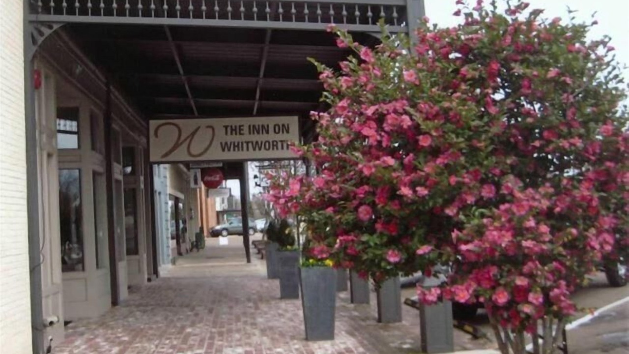 Photo of Outdoor in Brookhaven