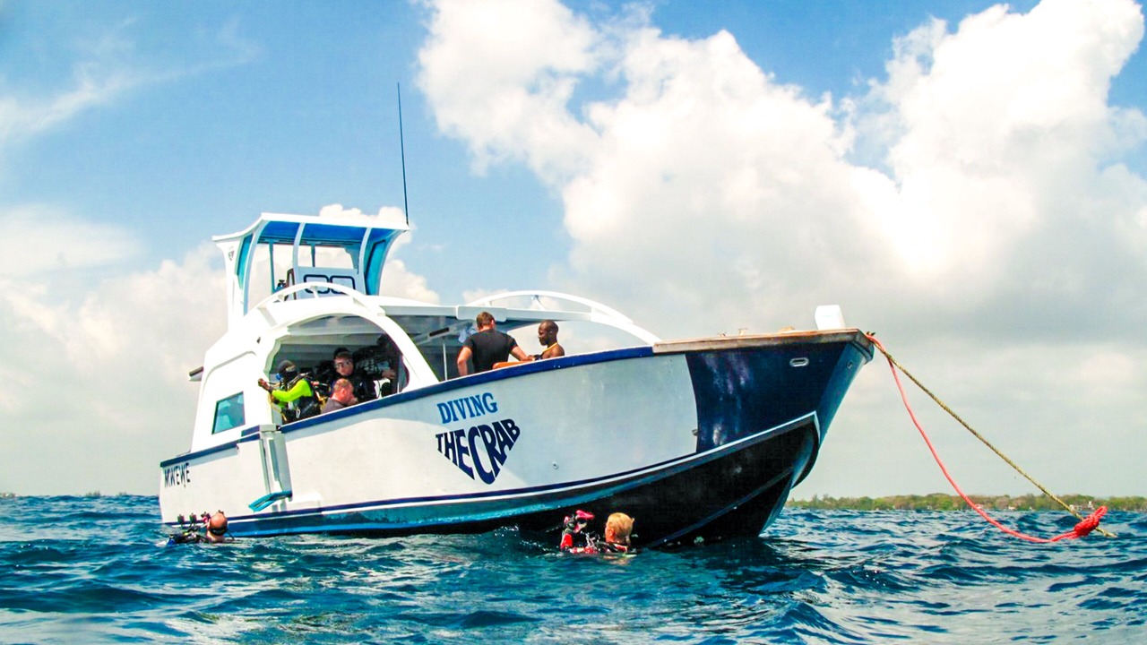 Photo of Others in Chale Island