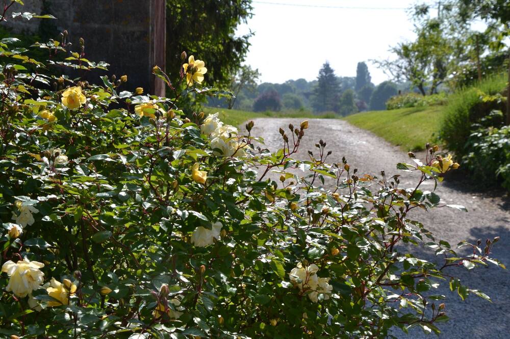 Photo of Outdoor in Chilleurs-aux-Bois