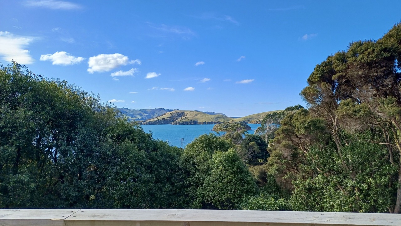 Photo of Outdoor in Dunedin