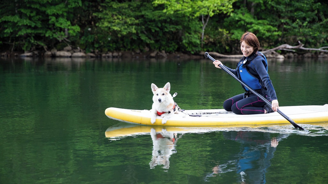 Photo of Others in Hirafu