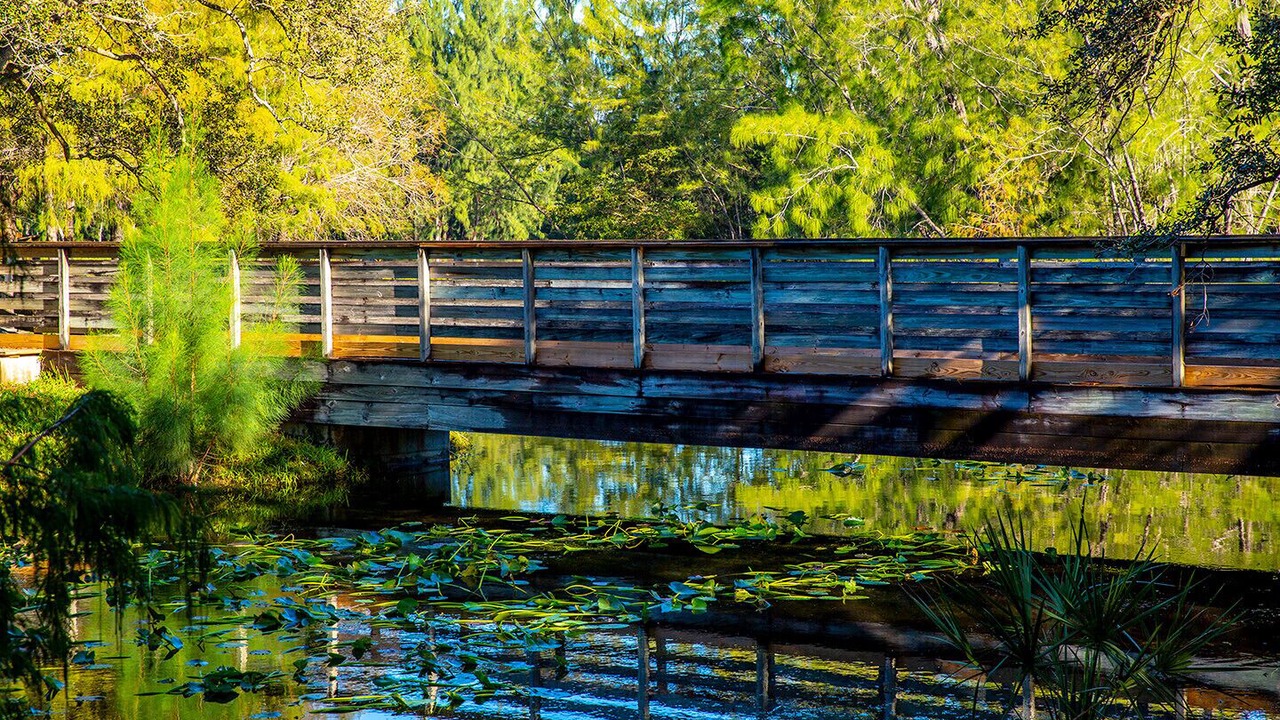 Photo of Outdoor in Miami Lakes