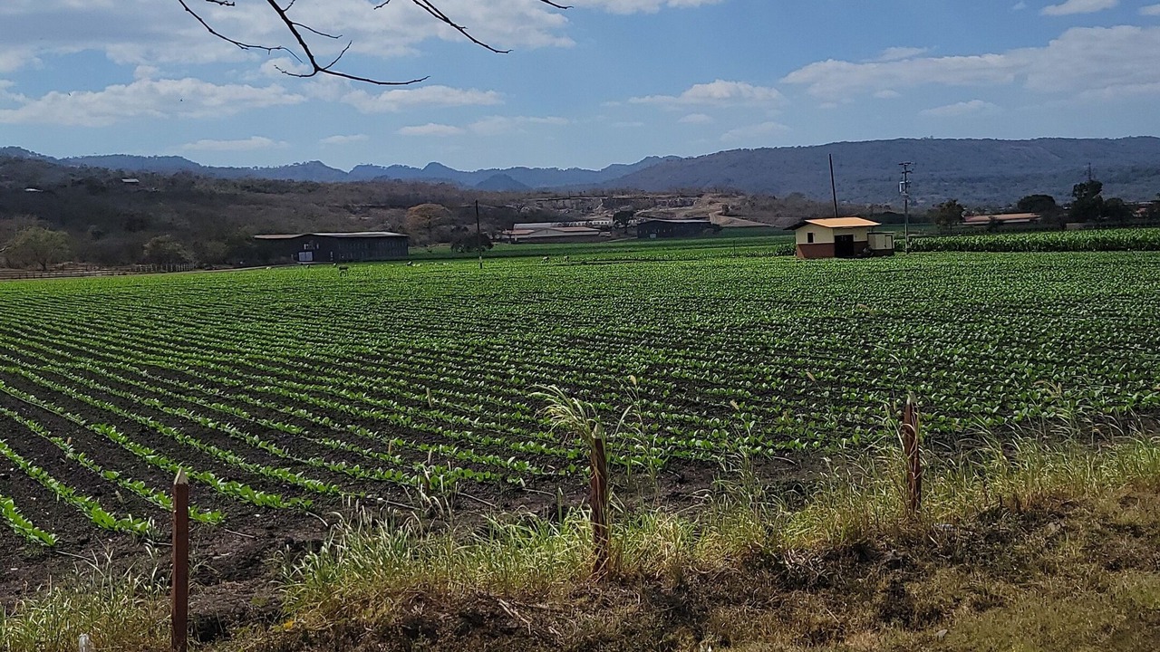 Photo of Outdoor in Esteli