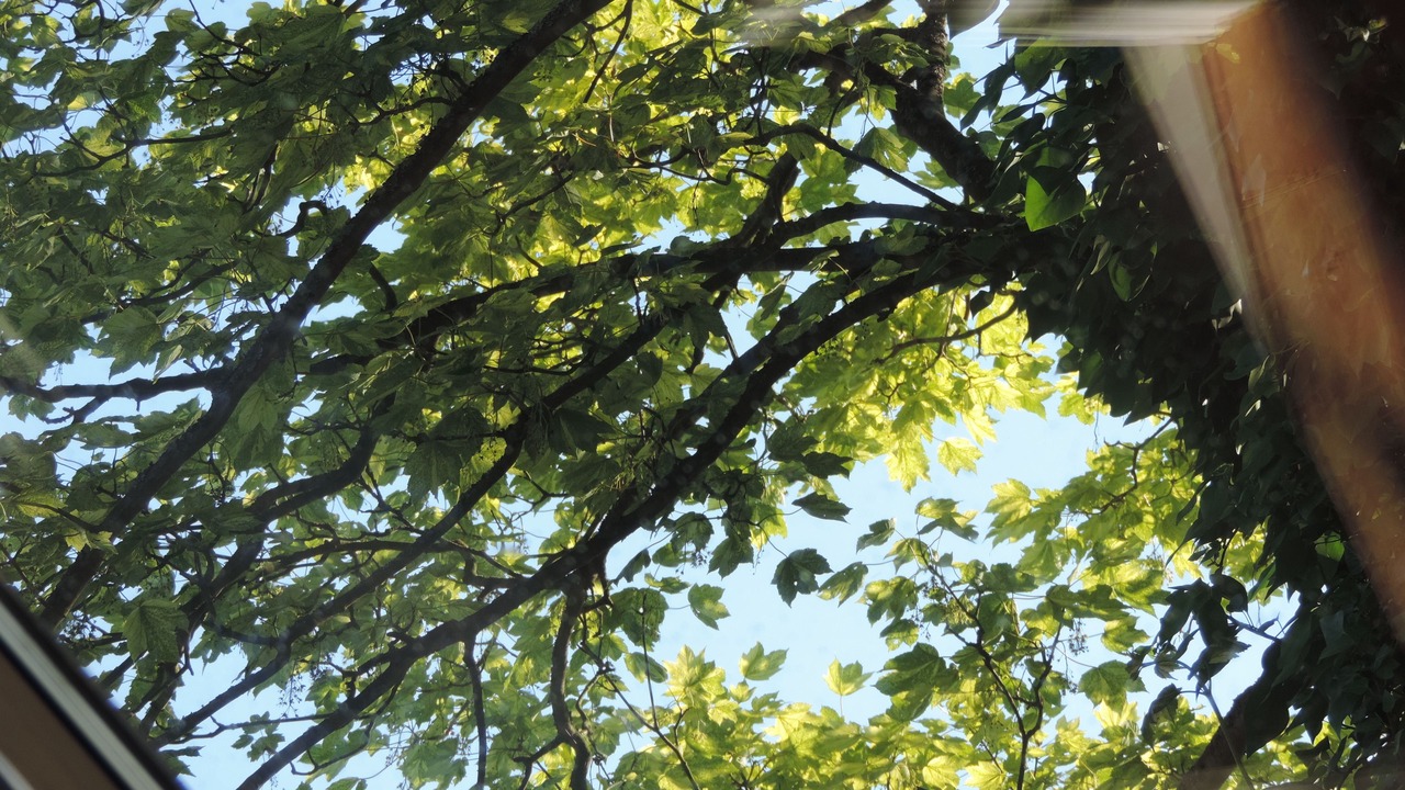 Photo of Outdoor in Chaumont-Gistoux