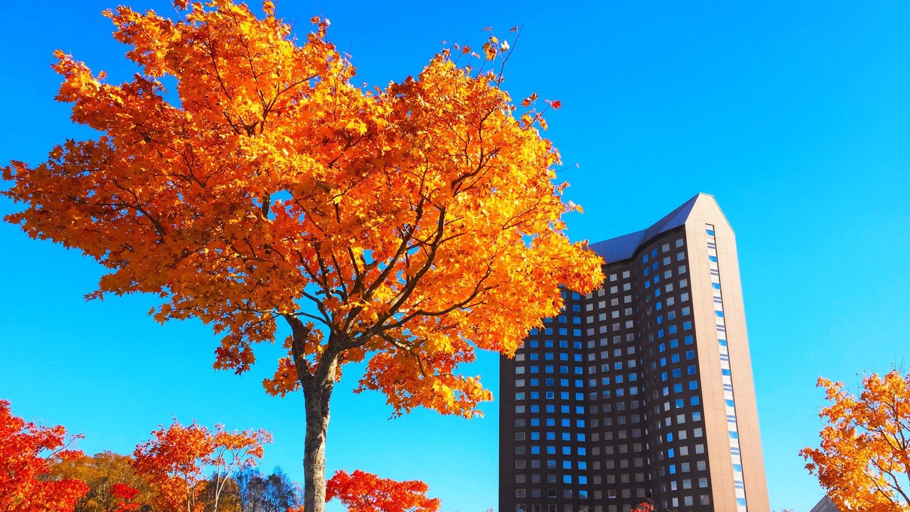 Photo of Outdoor in Rusutsu