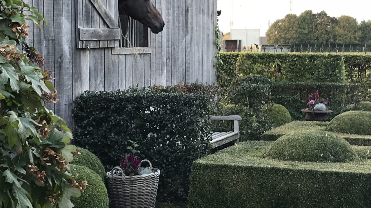 Photo of Outdoor in Bree