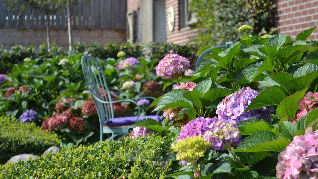 Photo of Outdoor in Bree