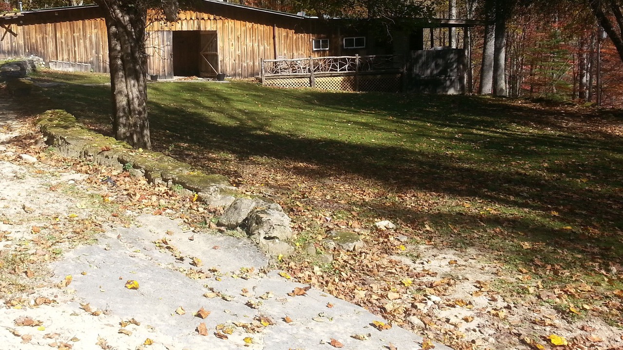 Photo of Outdoor in Cullowhee