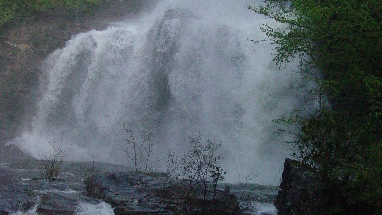 Photo of Others in Cullowhee