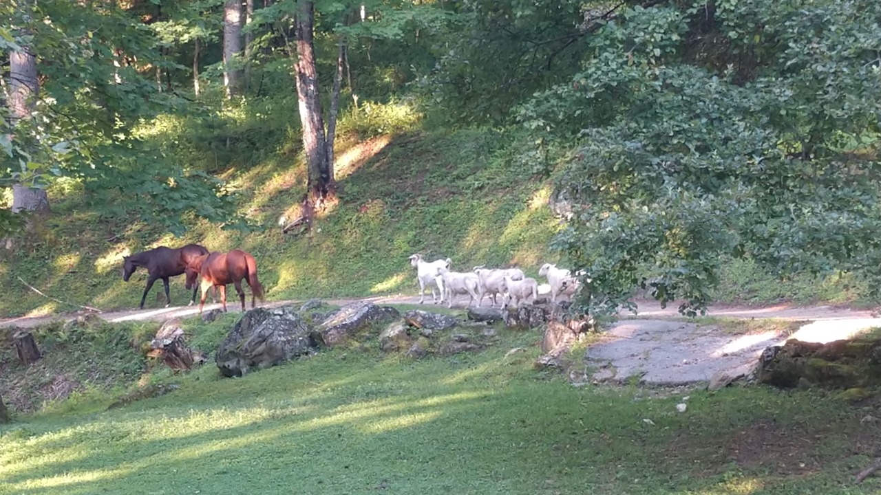Photo of Kitchen in Cullowhee