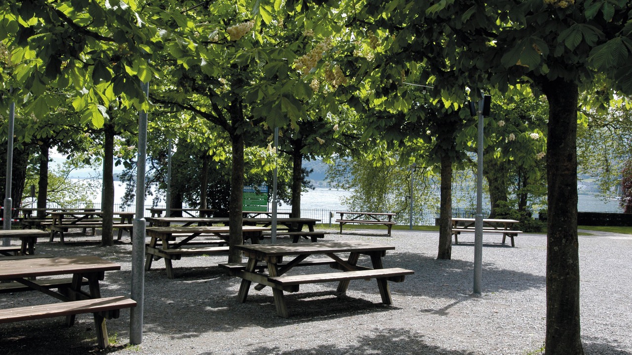 Photo of Others in Horgen District
