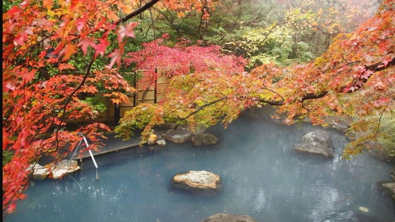 Photo of Others in Shinkashio Onsen
