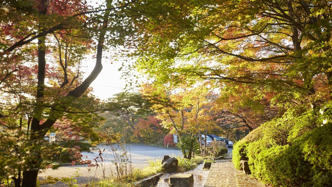 Photo of Outdoor in Shinkashio Onsen