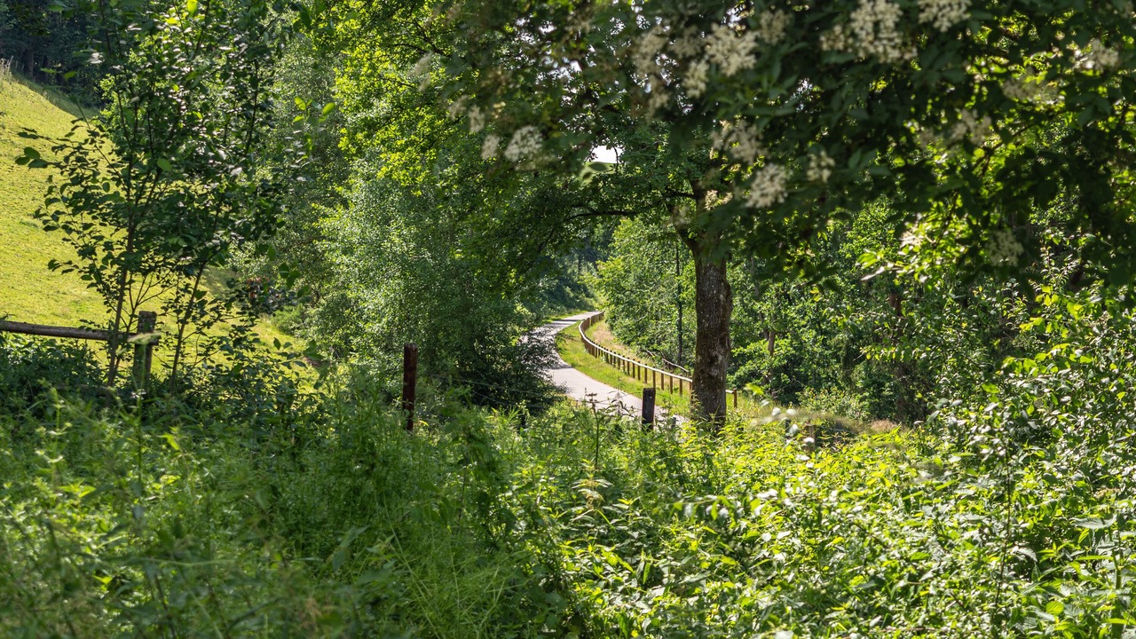 Photo of Outdoor in Burg-Reuland