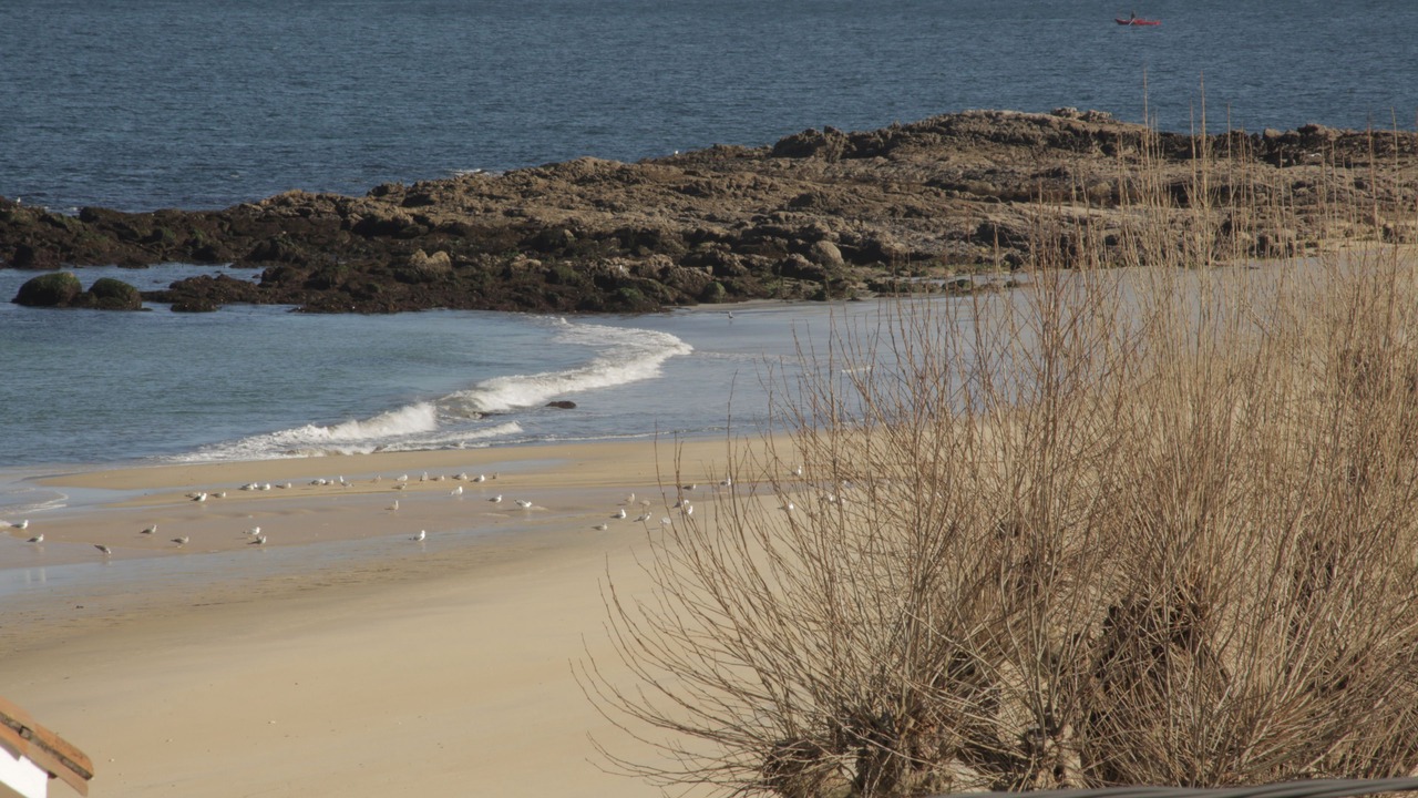 Photo of Others in Bueu