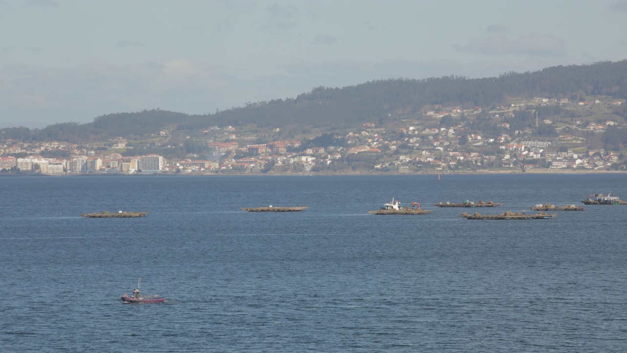 Photo of Others in Bueu