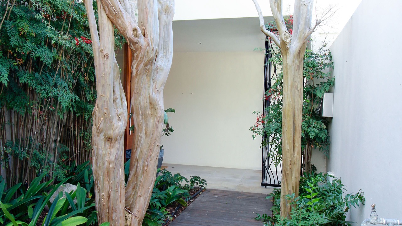 Photo of Outdoor in Claremont