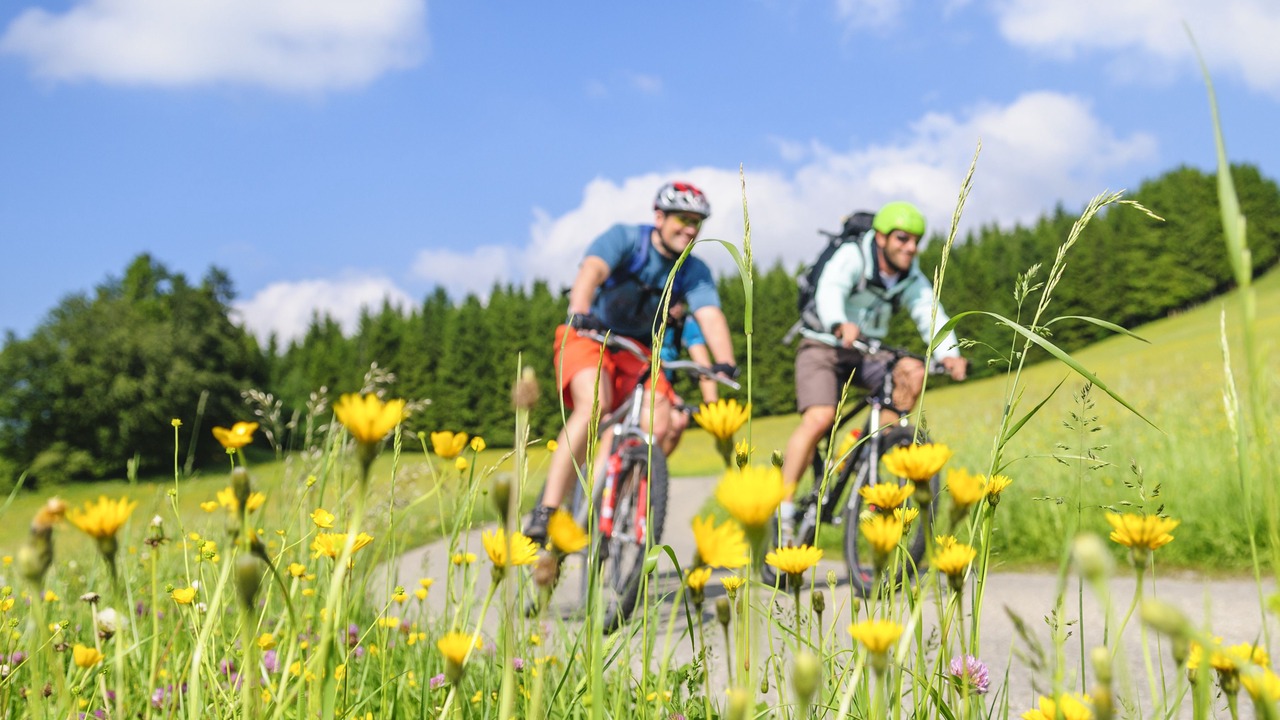 Photo of Outdoor in Durbach