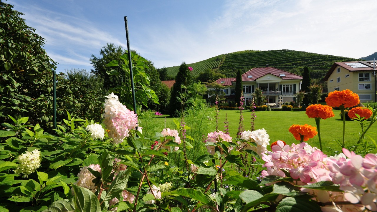 Photo of Outdoor in Durbach