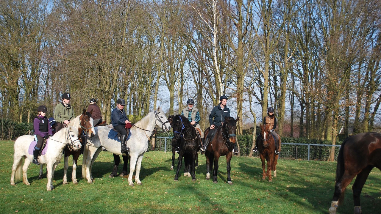 Photo of Others in Neerglabbeek